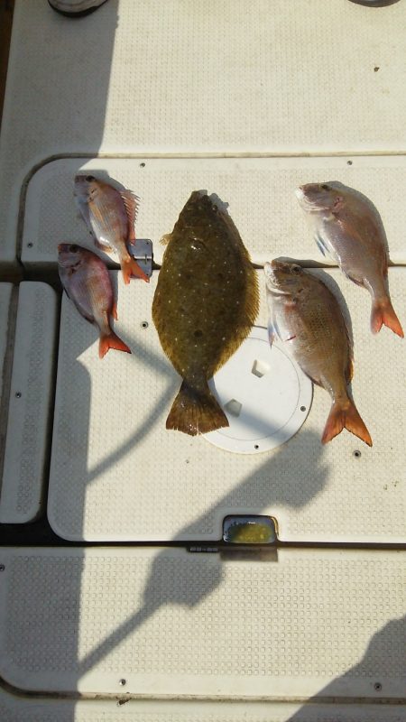 マリンガイド福丸 釣果