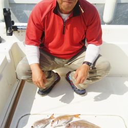 マリンガイド福丸 釣果