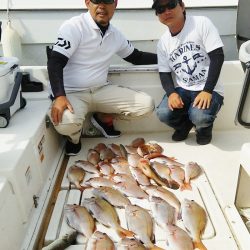 マリンガイド福丸 釣果