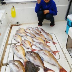 マリンガイド福丸 釣果