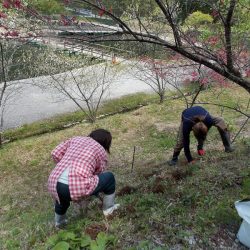 平谷湖フィッシングスポット 釣果