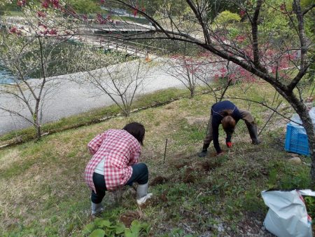 平谷湖フィッシングスポット 釣果