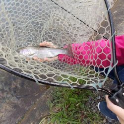 平谷湖フィッシングスポット 釣果