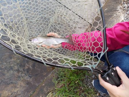 平谷湖フィッシングスポット 釣果