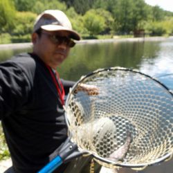 平谷湖フィッシングスポット 釣果