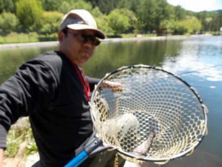 平谷湖フィッシングスポット 釣果