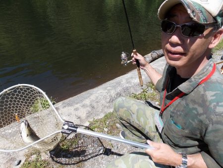 平谷湖フィッシングスポット 釣果