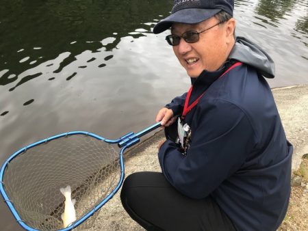 平谷湖フィッシングスポット 釣果