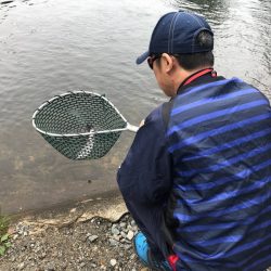 平谷湖フィッシングスポット 釣果