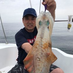 South Current 釣果