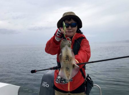 South Current 釣果