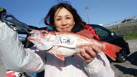 ぽん助丸 釣果