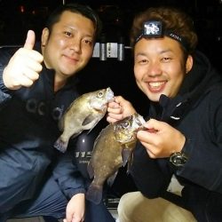 マリンガイド福丸 釣果