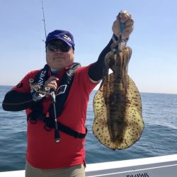 South Current 釣果