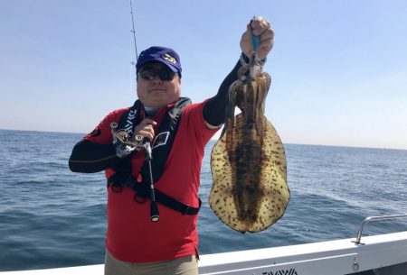 South Current 釣果