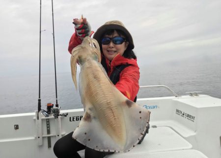 South Current 釣果