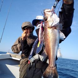 ひな丸 釣果