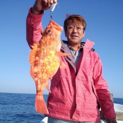 ひな丸 釣果