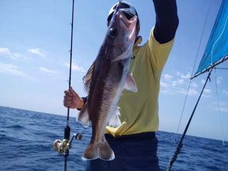 ひな丸 釣果