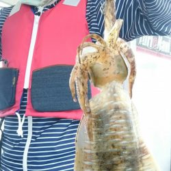 シースナイパー海龍 釣果