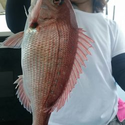 シースナイパー海龍 釣果