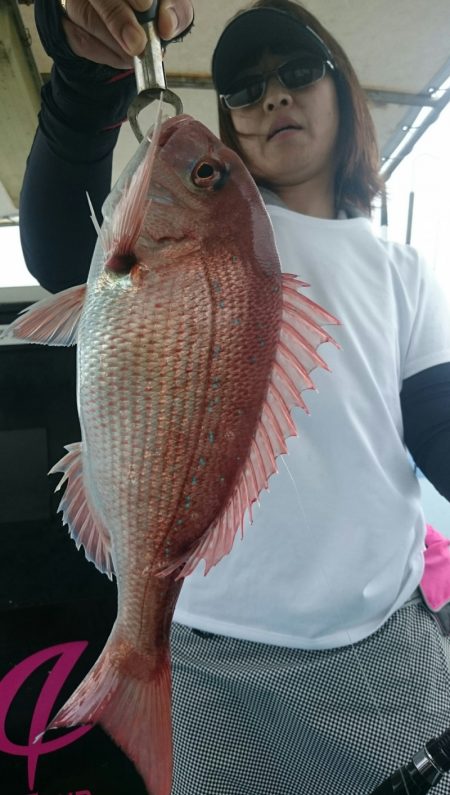 シースナイパー海龍 釣果