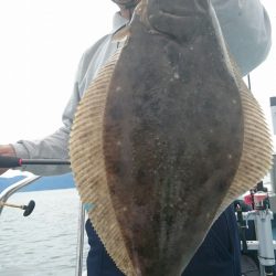 シースナイパー海龍 釣果