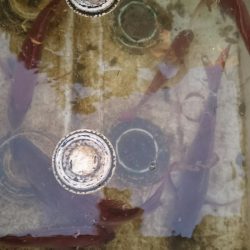 シースナイパー海龍 釣果