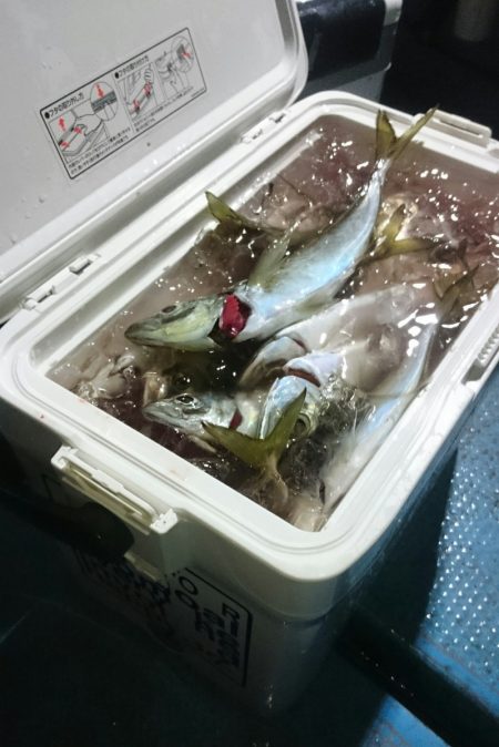 シースナイパー海龍 釣果