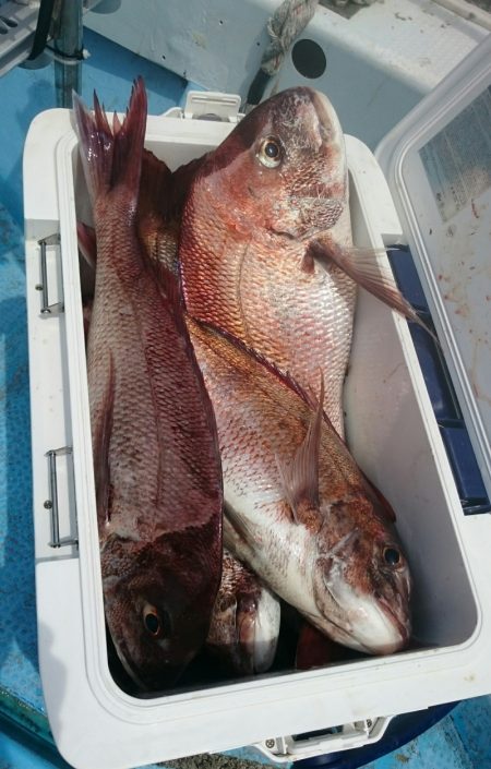 シースナイパー海龍 釣果