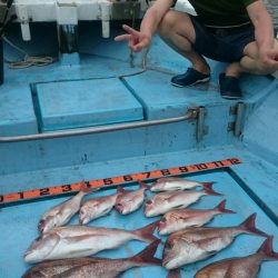 シースナイパー海龍 釣果