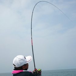 シースナイパー海龍 釣果