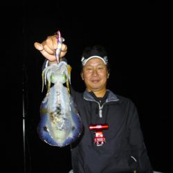 South Current 釣果