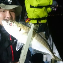 シースナイパー海龍 釣果