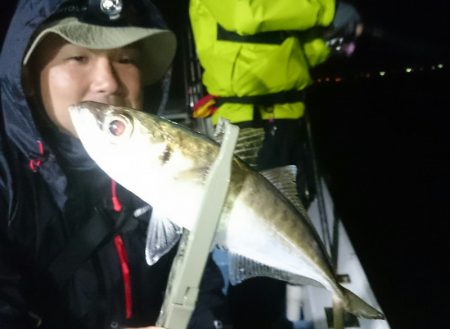 シースナイパー海龍 釣果