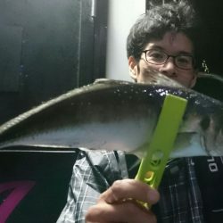 シースナイパー海龍 釣果