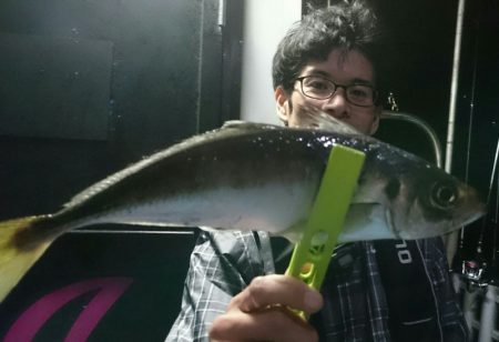 シースナイパー海龍 釣果