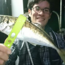 シースナイパー海龍 釣果