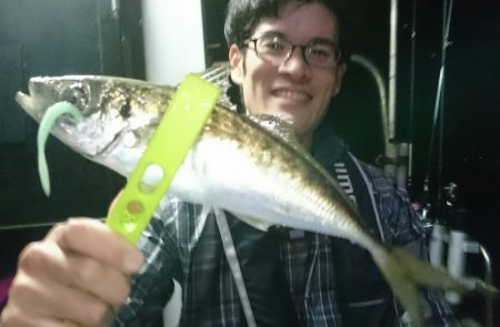 シースナイパー海龍 釣果