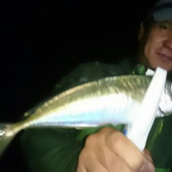 シースナイパー海龍 釣果