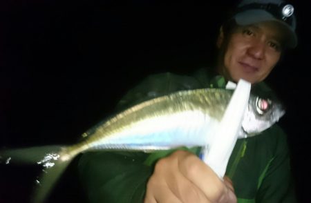 シースナイパー海龍 釣果