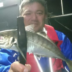 シースナイパー海龍 釣果