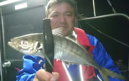 シースナイパー海龍 釣果