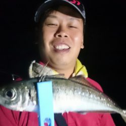 シースナイパー海龍 釣果