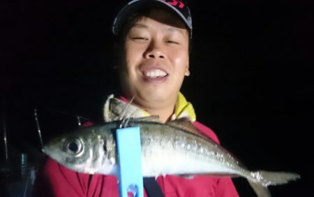 シースナイパー海龍 釣果