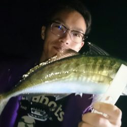 シースナイパー海龍 釣果