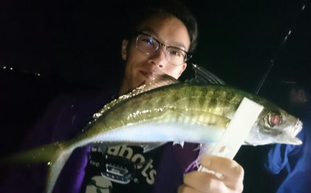 シースナイパー海龍 釣果