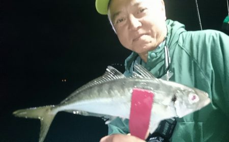 シースナイパー海龍 釣果