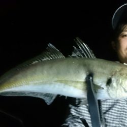 シースナイパー海龍 釣果