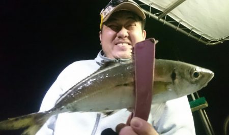 シースナイパー海龍 釣果